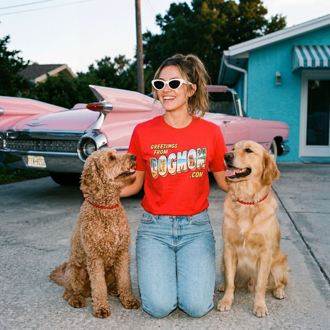 Greetings from DogMom.com - standing with dogs