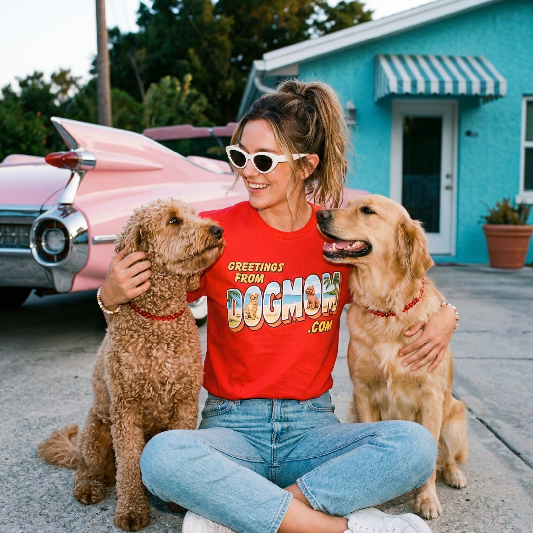 Greetings from DogMom.com - sitting with dogs