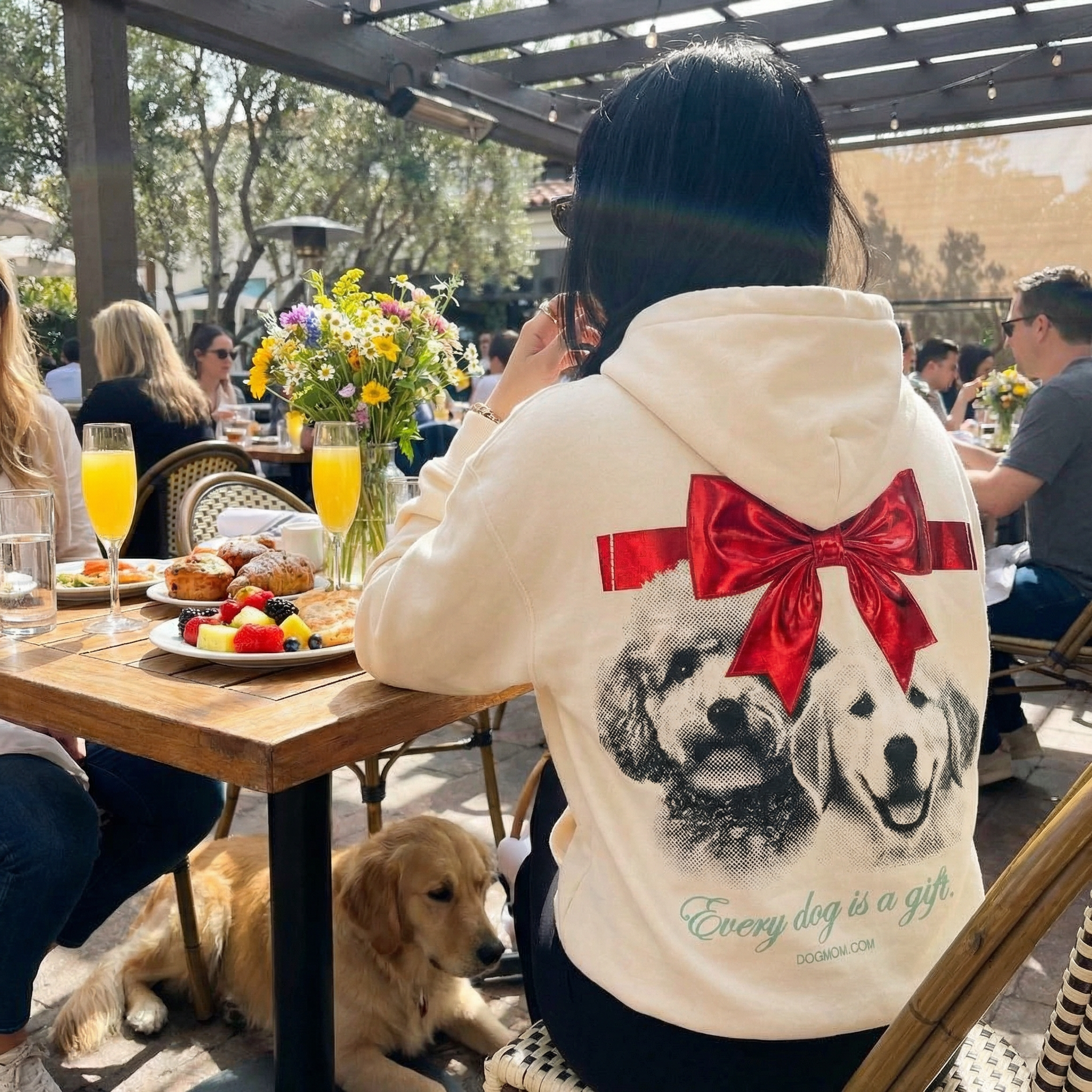 Every Dog Is a Gift Hoodie